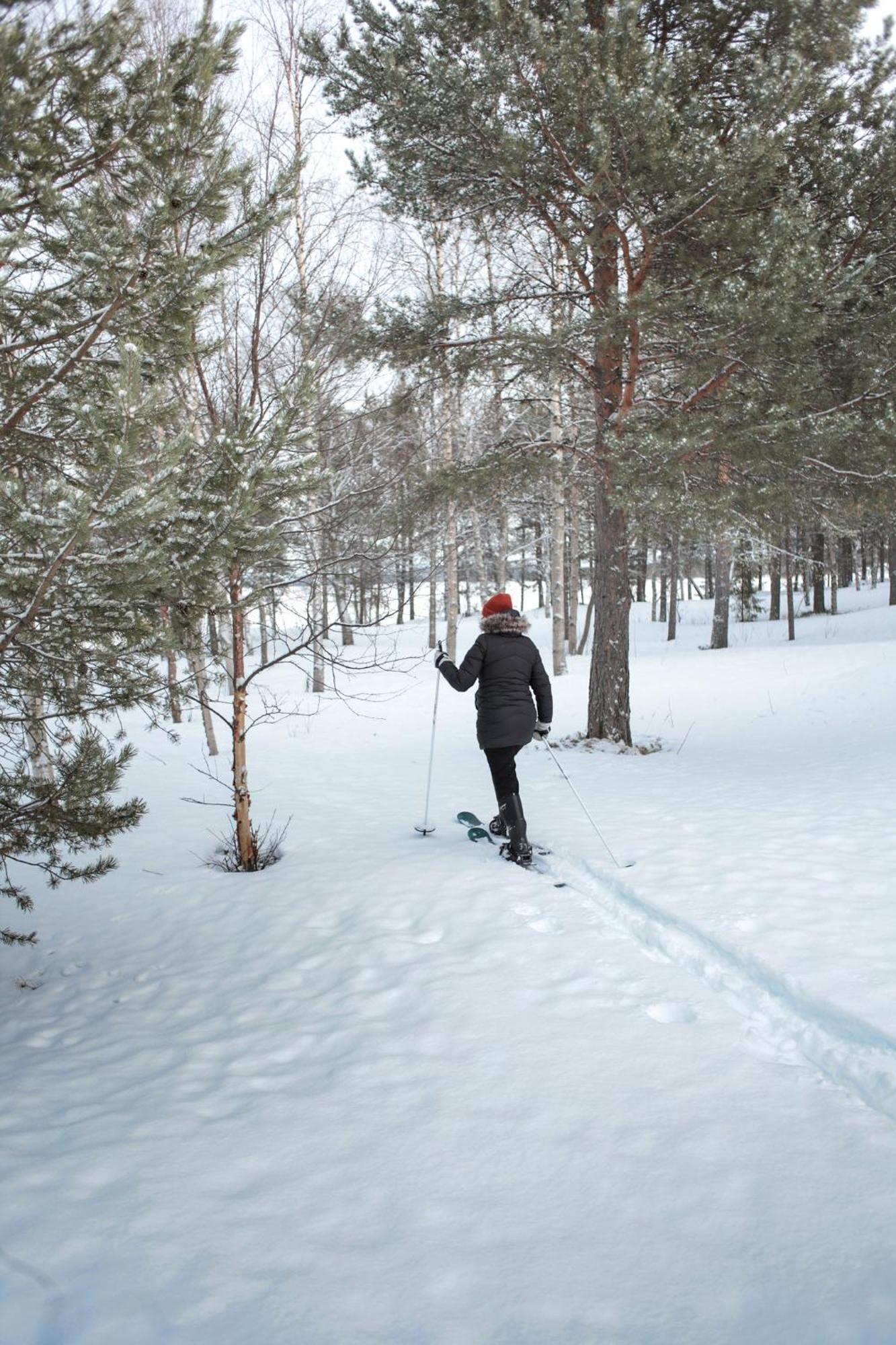 Crow Creek Cabins Інарі Екстер'єр фото